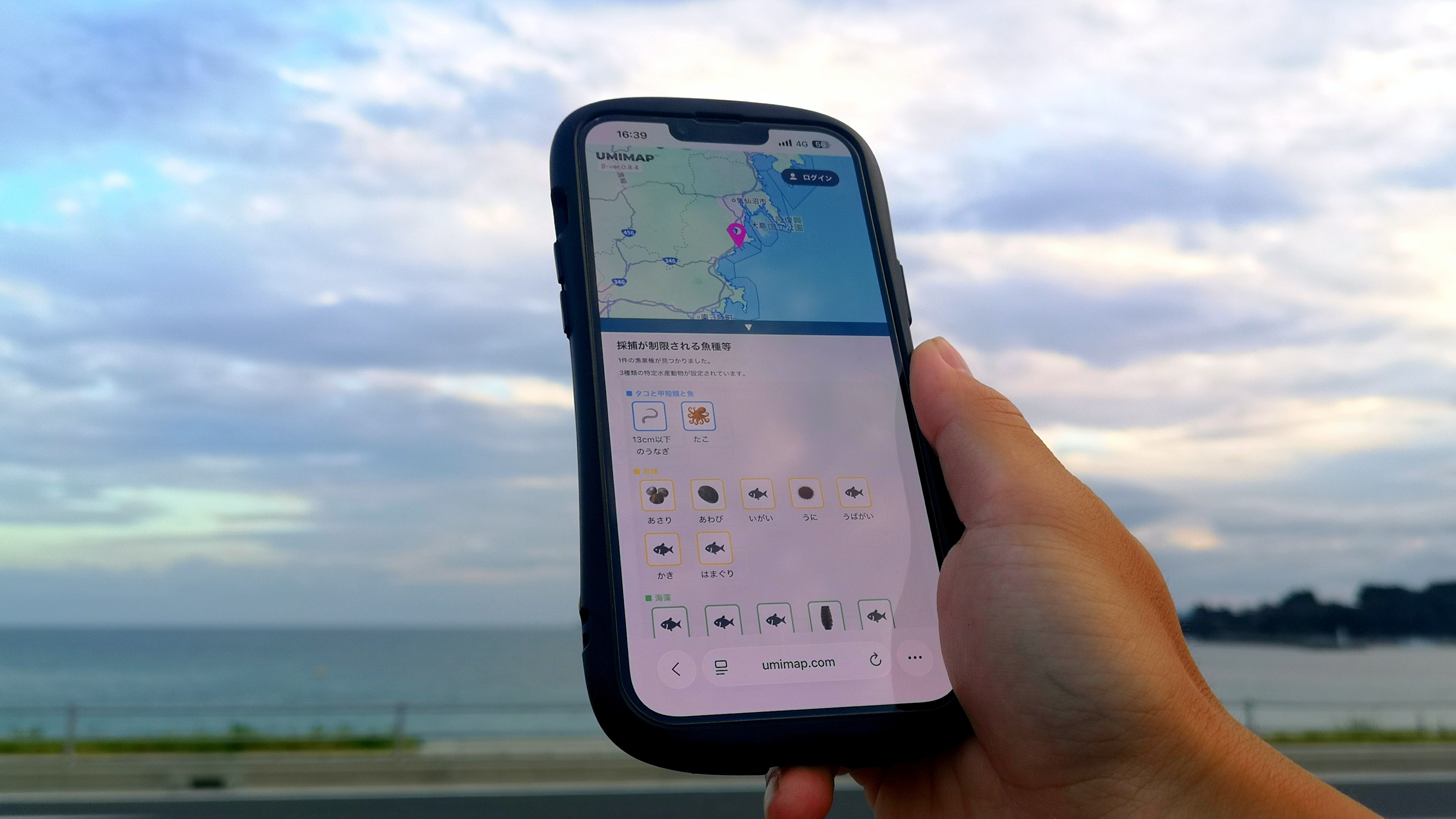 岩礁帯の俯瞰イメージ
