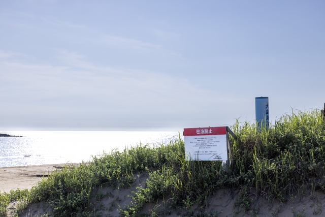 海域ルールの可視化イメージ