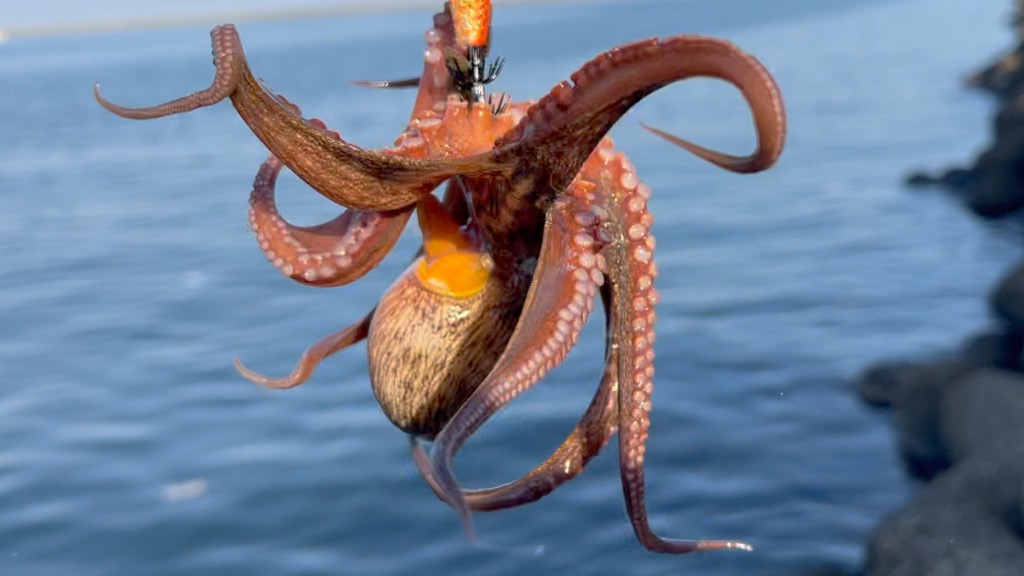 目的から探すのイメージ